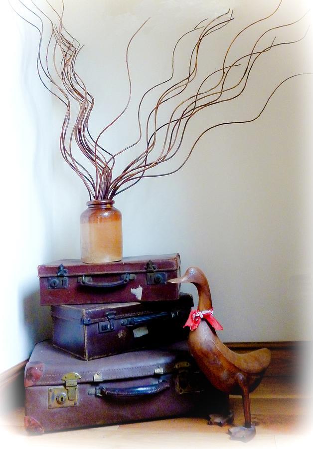 Hazelwood Farm Bed & Breakfast York